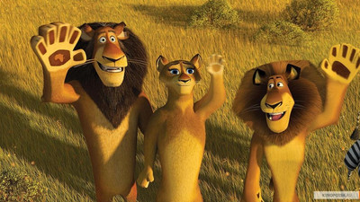 Madagaskar 2 Uzbek tilida 2008 Multfilm skachat - kadr 1