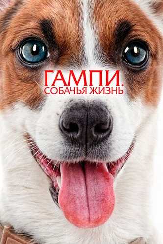 Gampi. Itlar hayoti / Gampining sarguzashtlari Uzbek Tilida 2024 kino skachat FHD