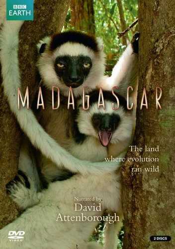 BBC: Madagaskar / Madagaskar tabiati Barcha qismlar Uzbek Tilida 2011 skachat
